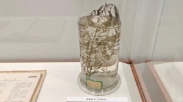 獻給世界的禮物&mdash;&mdash;&ldquo;青蒿素研究&rdquo;持續助力全球抗瘧