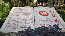 逐夢(mèng)西部天地寬&mdash;&mdash;大學(xué)生志愿服務(wù)西部計劃掃描