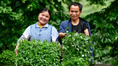 你是我的眼，我是你的手