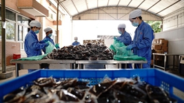 中醫藥發(fā)揮獨特優(yōu)勢&ldquo;防、治、康&rdquo;全程助力抗疫