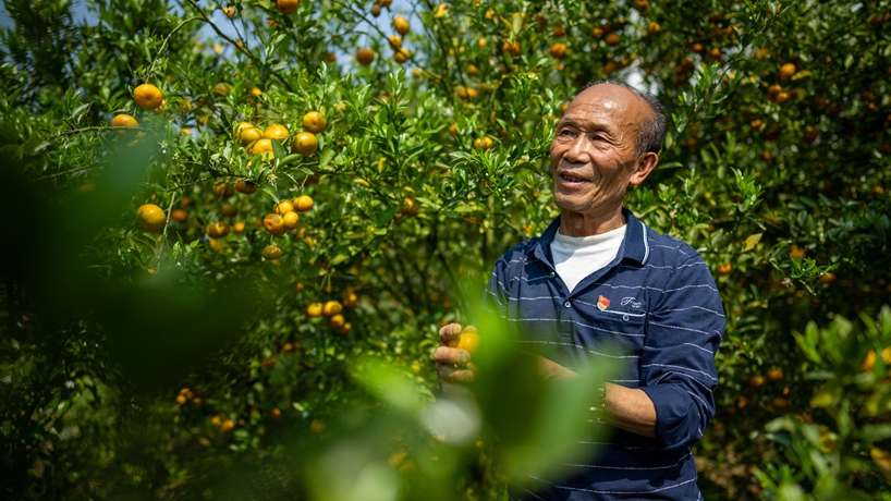 戰山斗山，一代又一代&ldquo;石漠愚公&rdquo;書(shū)寫(xiě)傳奇