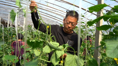 點(diǎn)亮自強自立&ldquo;心燈&rdquo;！聽(tīng)聽(tīng)這些殘疾人的創(chuàng  )業(yè)就業(yè)故事