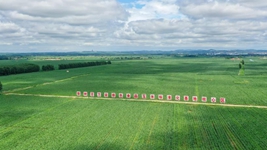 來(lái)自東北&ldquo;黃金玉米帶&rdquo;的田野新觀(guān)察