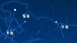 虎年來(lái)了，抬頭尋找天上的&ldquo;白虎&rdquo;