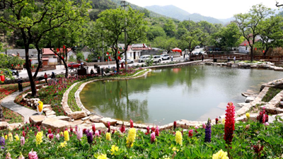 休閑、教育、養老&hellip;&hellip;&ldquo;三農&rdquo;變化之農業(yè)新功能