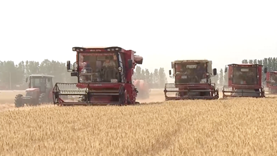 種糧大戶(hù)的&ldquo;豐收密碼&rdquo;