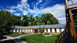 黑龍江寧安:大學(xué)生返鄉創(chuàng )業(yè)助力縣域經(jīng)濟發(fā)展