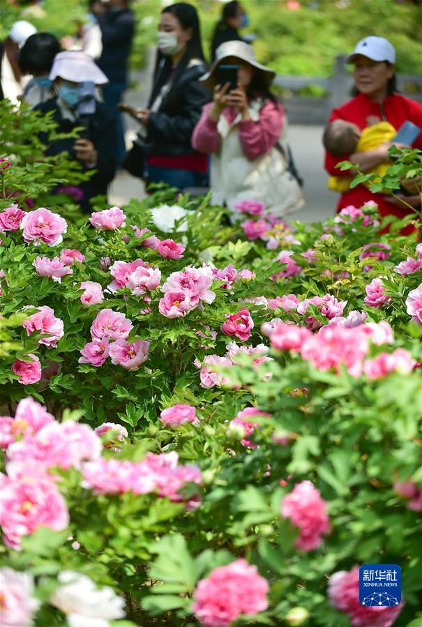 #（社會(huì )）（7）擁抱春天 樂(lè )享春光