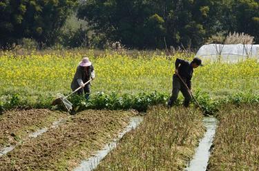 春耕春管正當時(shí)