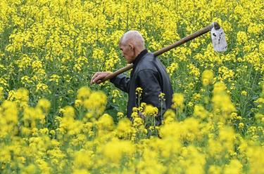 桂北農民春耕忙
