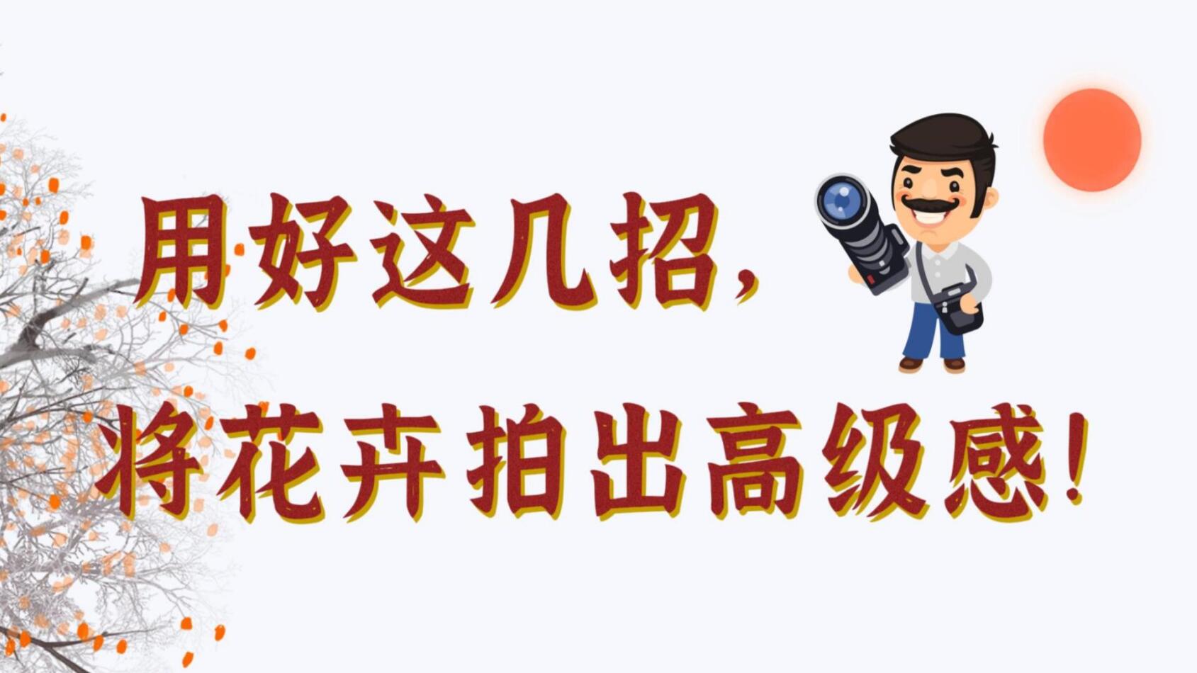 【光影輕課堂】用好這幾招，將花卉拍出高級感！