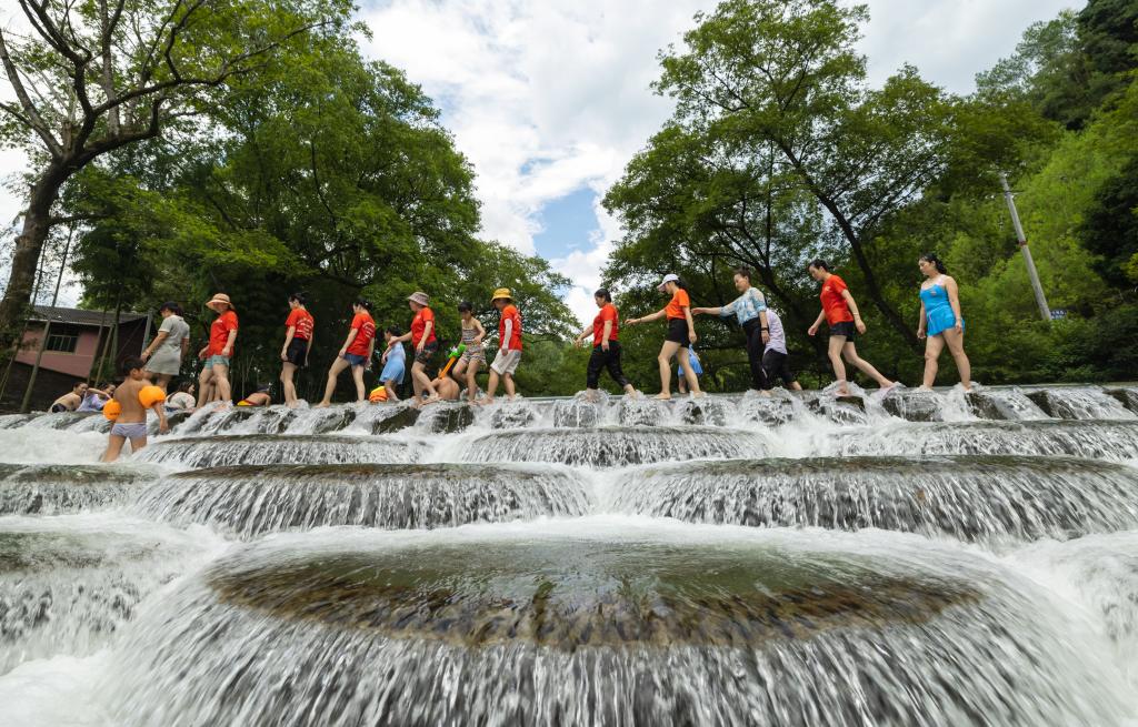 與水為伴 樂(lè )享清涼