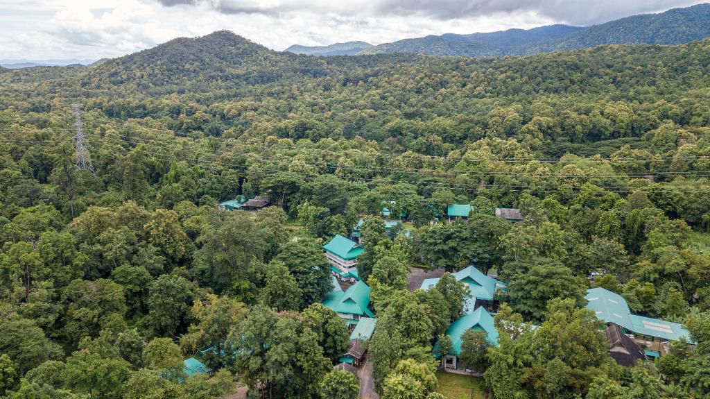 世界大象日：探訪(fǎng)世界首家大象醫院