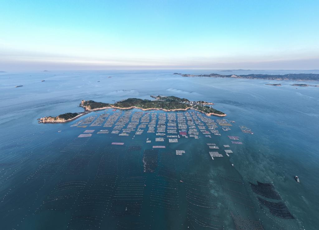 新華全媒+｜福建連江：海洋產(chǎn)業(yè)助力鄉村振興