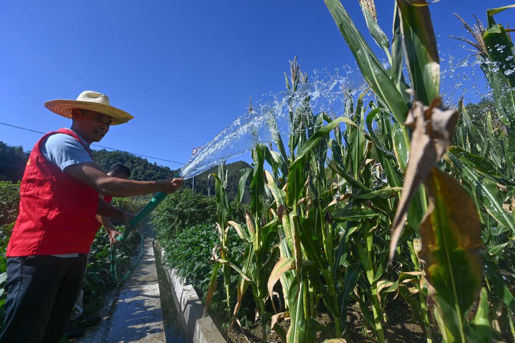 山鄉抗旱先鋒隊 助農抗旱保生產(chǎn)