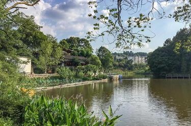 讓鄉村老院子煥發(fā)活力&mdash;&mdash;重慶巴南豐富旅游民宿供給觀(guān)察