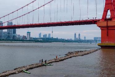 水位持續下降 長(cháng)江武漢段露出江心小道