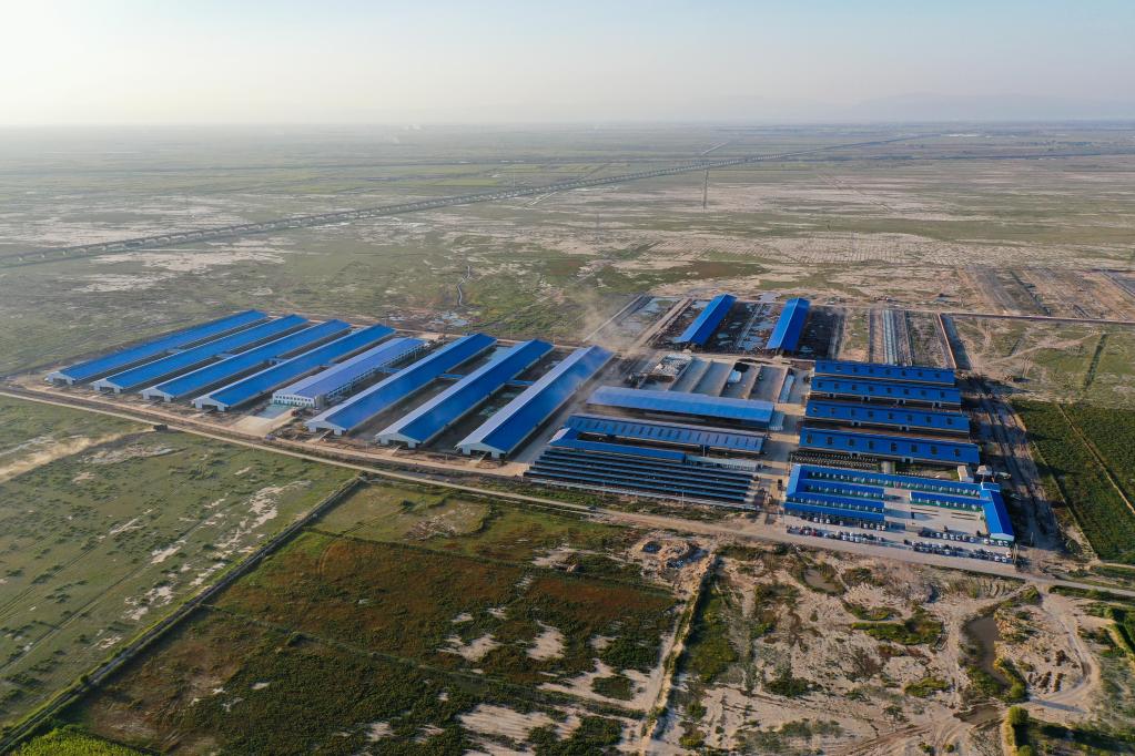 呼和浩特：發(fā)展奶牛養殖 推進(jìn)奶業(yè)振興