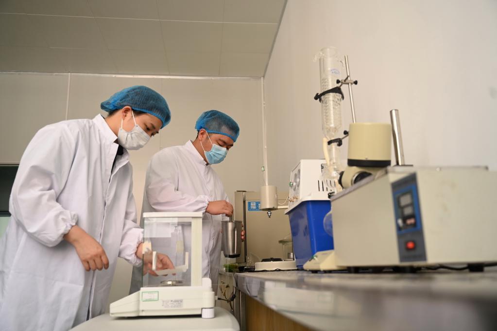 返鄉青年林俊杰的創(chuàng  )業(yè)故事