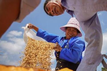 詩(shī)意中國&mdash;&mdash;百里西風(fēng)禾黍香，鳴泉落竇谷登場(chǎng)