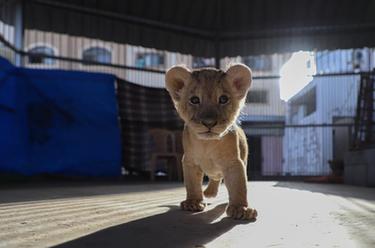 國際&middot;一周看天下