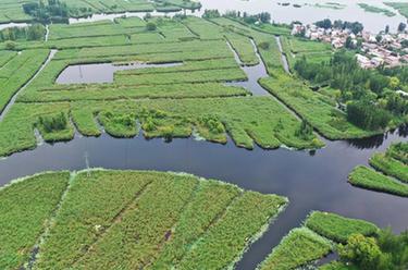 鏡頭里的十年&middot;奔向美好丨雄安，&ldquo;未來(lái)之城&rdquo;拔節生長(cháng)