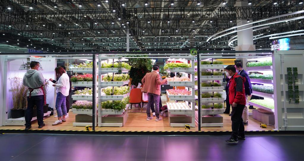 進(jìn)博會(huì )上看&ldquo;集裝箱里種菜&rdquo;