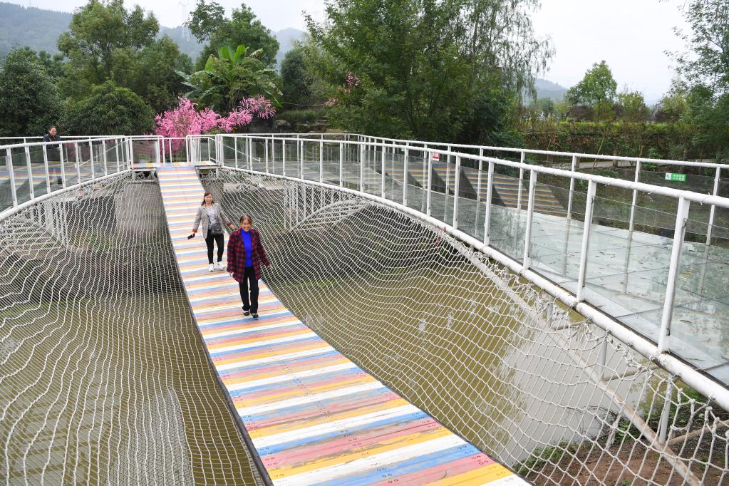 新華全媒＋丨重慶：人才下鄉激活產(chǎn)業(yè)振興&ldquo;一池春水&rdquo;