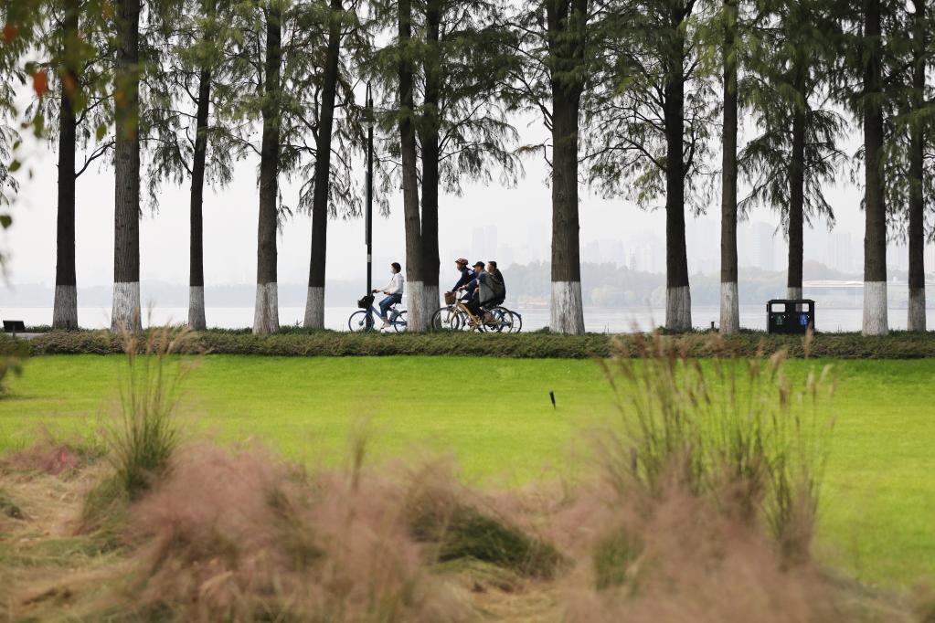 特稿：從濕地之美見(jiàn)證中國生態(tài)&ldquo;密碼&rdquo;啟迪世界