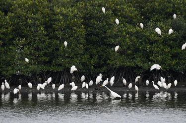 大美濕地城市丨?？? /></a></p>
<p class=