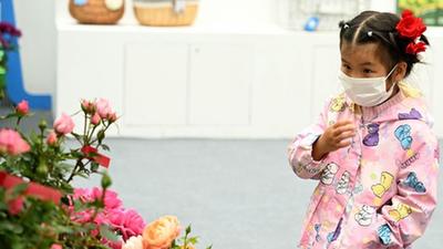 安徽合肥：&ldquo;苗交會(huì )&rdquo;引客來(lái)