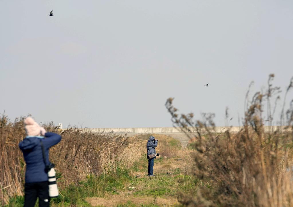 &ldquo;觀(guān)鳥(niǎo)達人&rdquo;匯聚東灘 首屆濱海社區觀(guān)鳥(niǎo)生活節在滬舉行