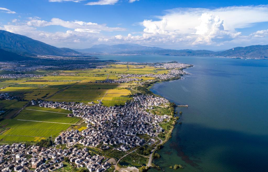 年終報道&middot;2022奔向美好｜鄉村振興新圖景