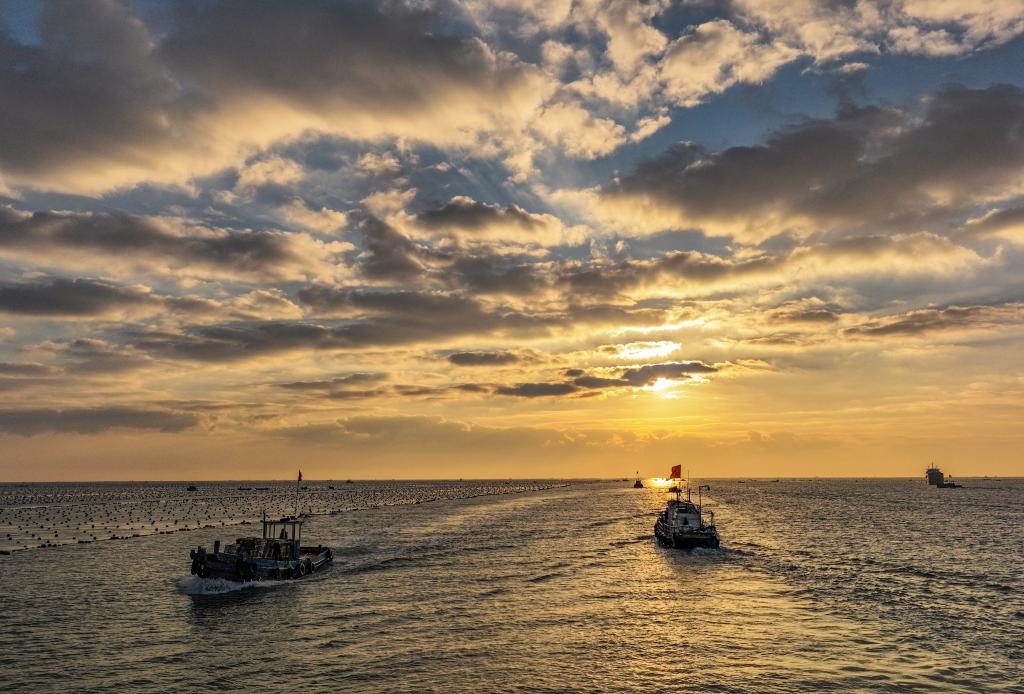 山東榮成：海上&ldquo;冬耕&rdquo;忙