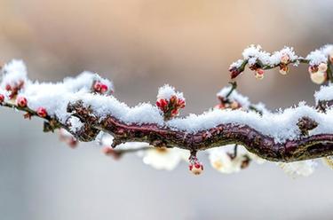 新華全媒+丨微視界&mdash;&mdash;大寒
