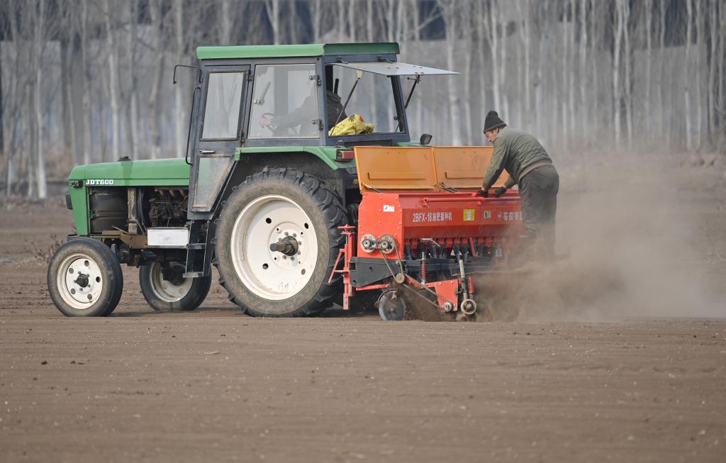 新華全媒+丨搶抓農時(shí)播種小麥