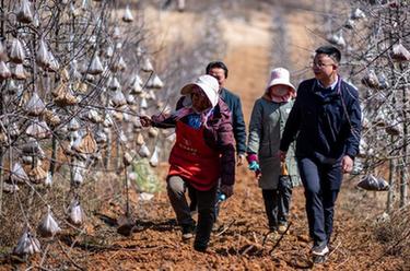 代表委員履職故事｜全國人大代表袁海波：&ldquo;我是農民工，更懂農民工&rdquo;