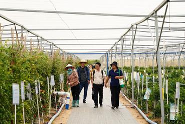 走進(jìn)三亞市崖州區國家現代農業(yè)產(chǎn)業(yè)園