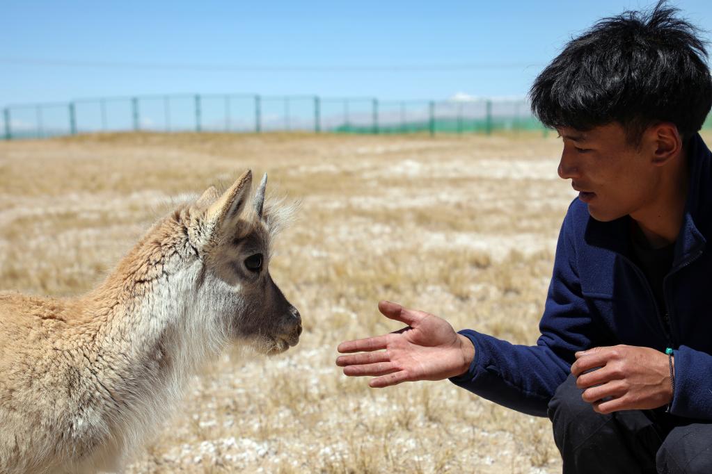 青?？煽晌骼铮罕痪戎亓缪蛴揍套聣殉砷L(cháng)