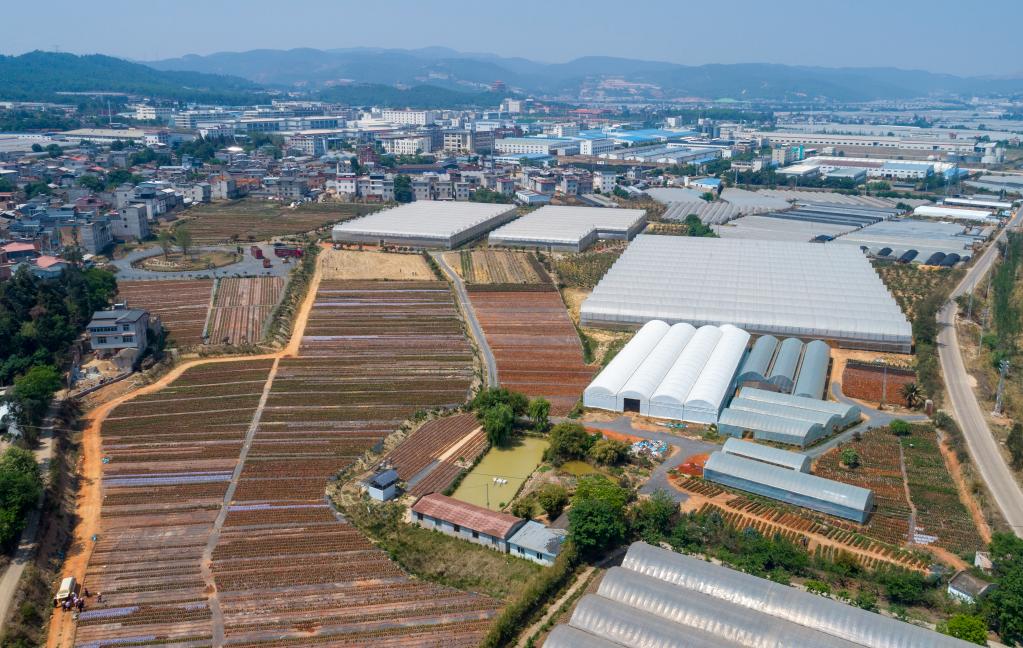 四季中國丨春日里 他們?yōu)樵颇匣ɑ苜x予&ldquo;芯&rdquo;動(dòng)能