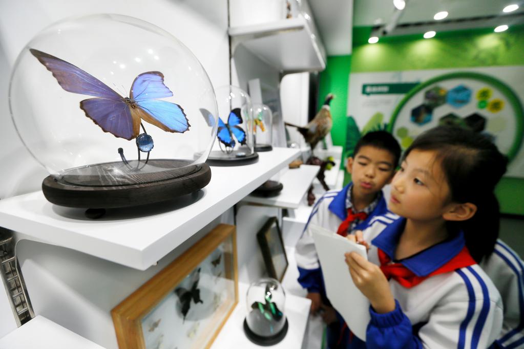 &ldquo;科普課堂&rdquo;感受生物多樣性