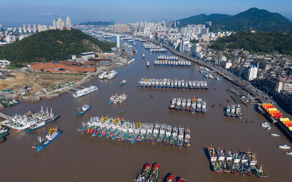 新華全媒+丨東海&ldquo;小開(kāi)漁&rdquo; 千帆出海忙