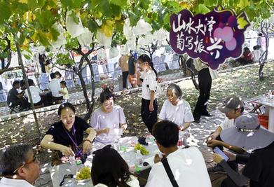 山東平度：葡萄成熟引客來(lái)