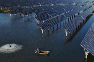 河北豐南：&ldquo;漁光互補&rdquo; 生態(tài)富民