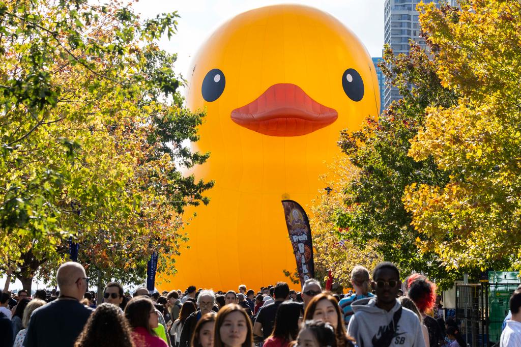 &ldquo;大黃鴨&rdquo;亮相多倫多