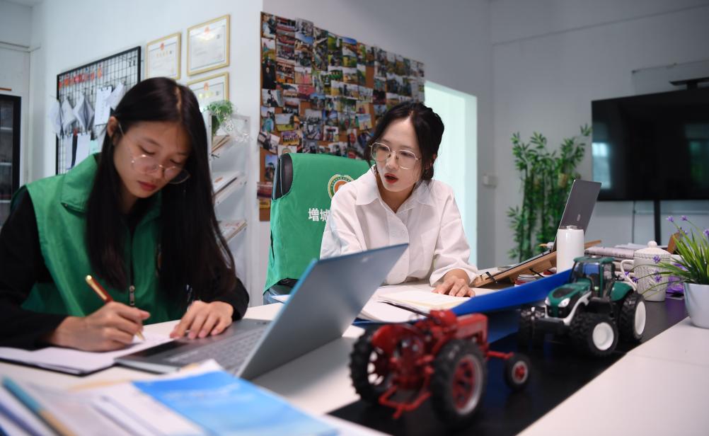 改革故事｜&ldquo;90后&rdquo;姐妹新農人 合作社托管盤(pán)活閑置田地