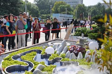 河北石家莊：園林&ldquo;微景觀(guān)&rdquo;展為假期添彩