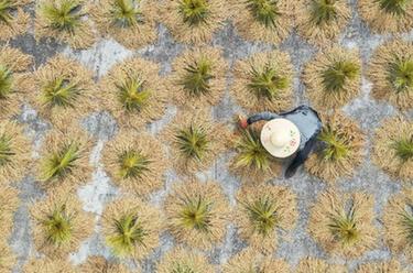 金秋好&ldquo;豐&rdquo;景