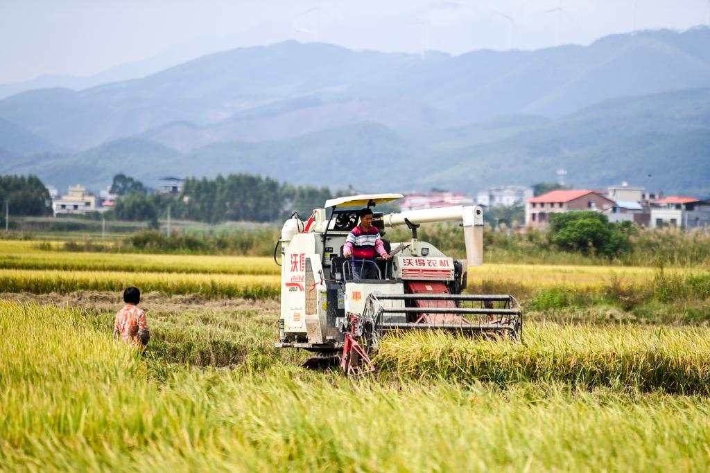 秋收時(shí)節收獲忙