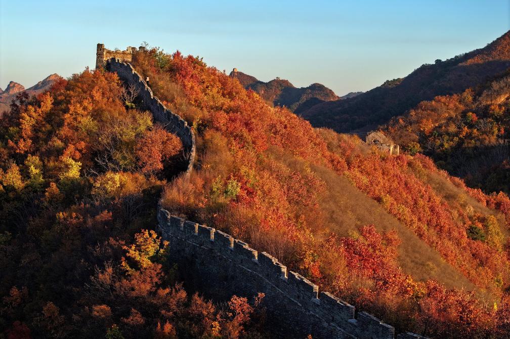 河北秦皇島：秋染長(cháng)城入畫(huà)來(lái)